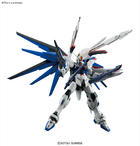 MG 1/100 Freedom Gundam Ver.2.0